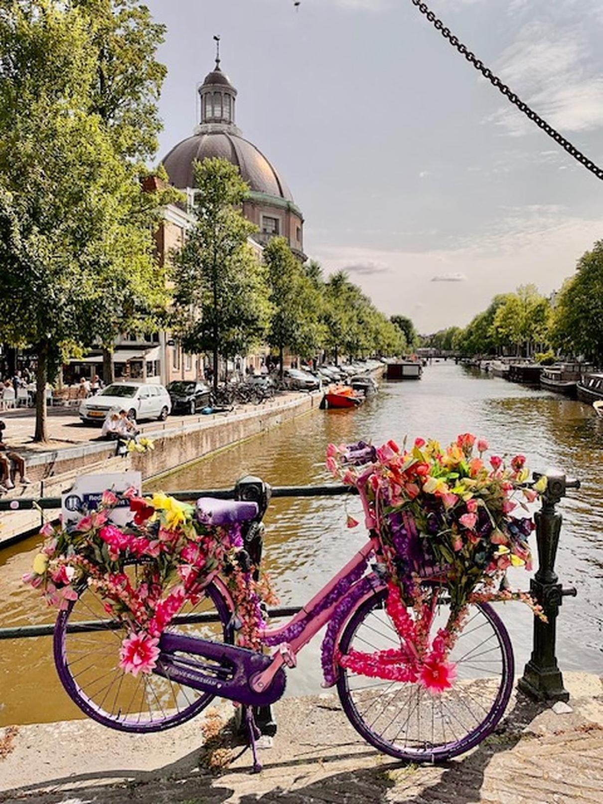 Bed & Breakfast Jo Amsterdam Diemerbrug Екстериор снимка
